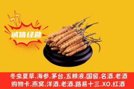 乐山市沙湾回收冬虫夏草